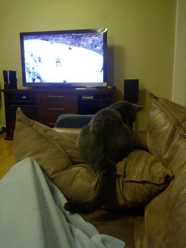 Crosby watching some Coach's Corner