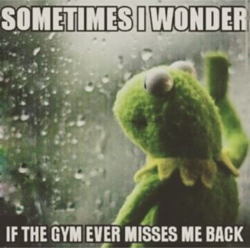 miss the gym
